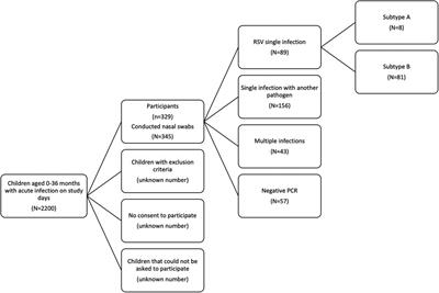 Characterisation of RSV infections in children without chronic diseases aged 0–36 months during the post-COVID-19 winter season 2022/2023